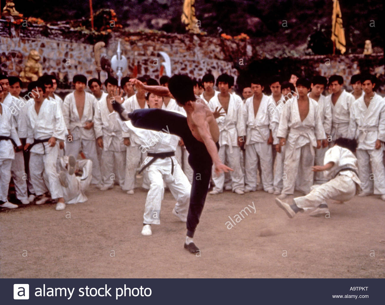 Enter The Dragon Full Movie Free Download
